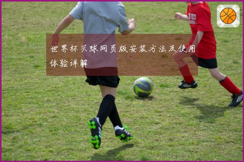 世界杯买球网页版安装方法及使用体验详解
