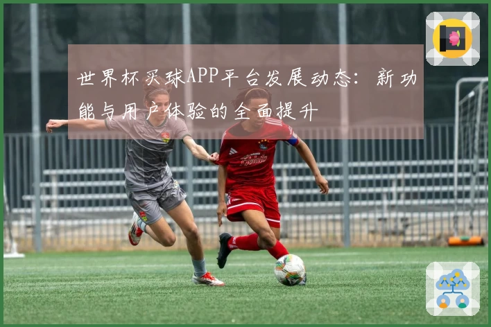 世界杯买球APP平台发展动态:新功能与用户体验的全面提升