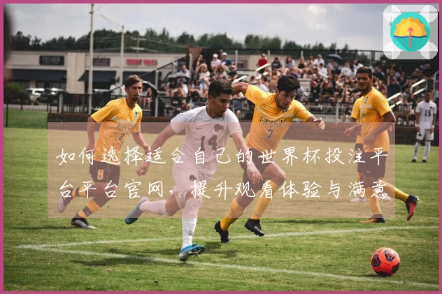 如何选择适合自己的世界杯投注平台平台官网，提升观看体验与满意度