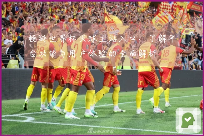 畅游世界杯买球主站入口，了解平台功能与用户体验的全面解析