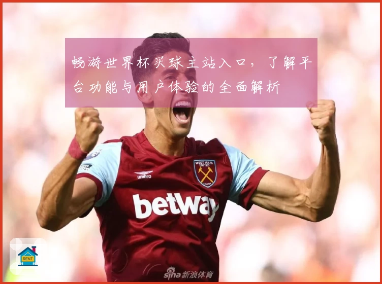 畅游世界杯买球主站入口，了解平台功能与用户体验的全面解析