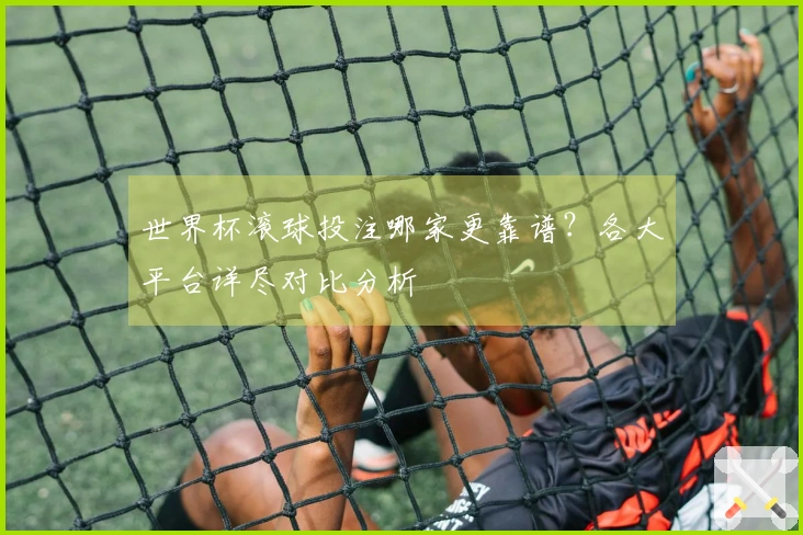 世界杯滚球投注哪家更靠谱？各大平台详尽对比分析