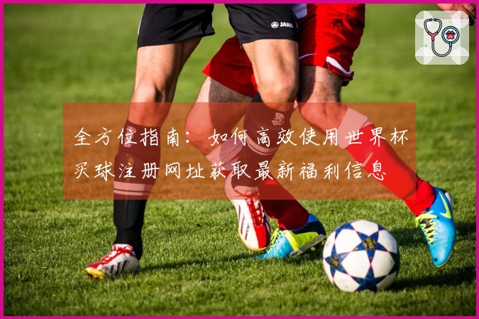 全方位指南：如何高效使用世界杯买球注册网址获取最新福利信息