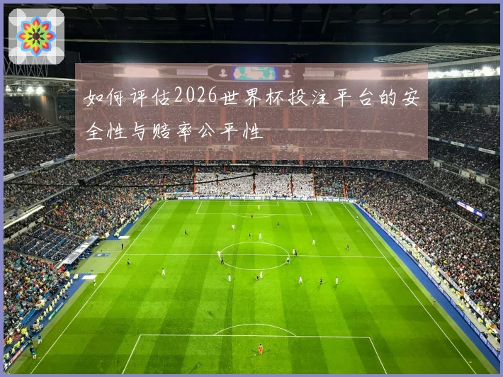如何评估2026世界杯投注平台的安全性与赔率公平性