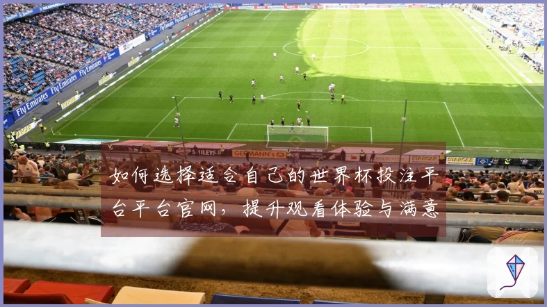 如何选择适合自己的世界杯投注平台平台官网，提升观看体验与满意度